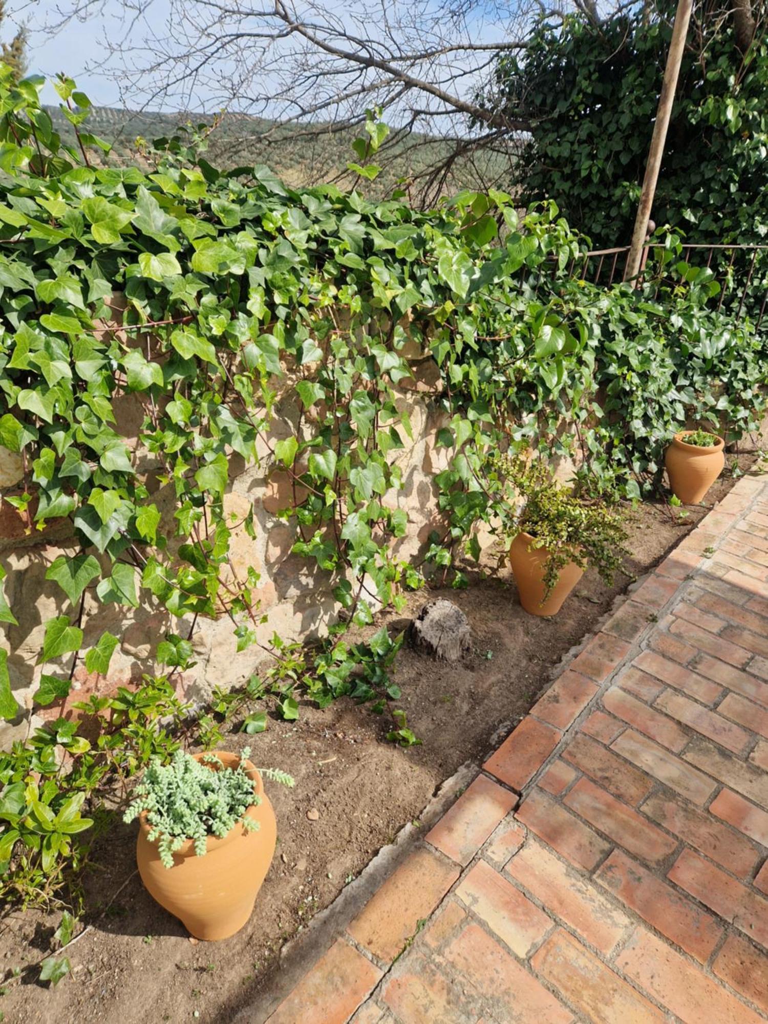 Colonos Alojamientos Rurales Guarromán Exteriér fotografie